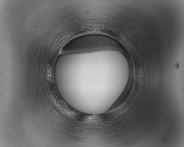 X0000115630092200911101128