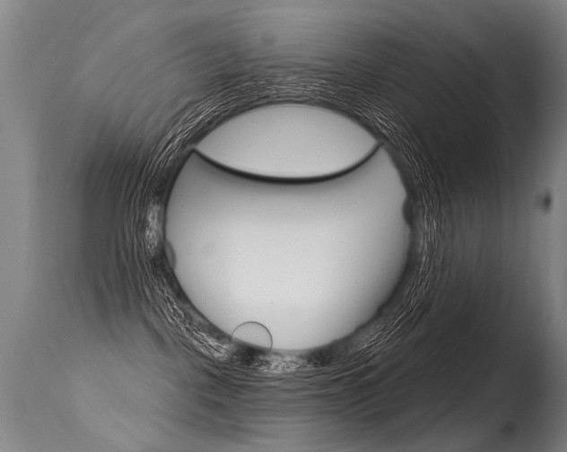 X0000115630093200911101128
