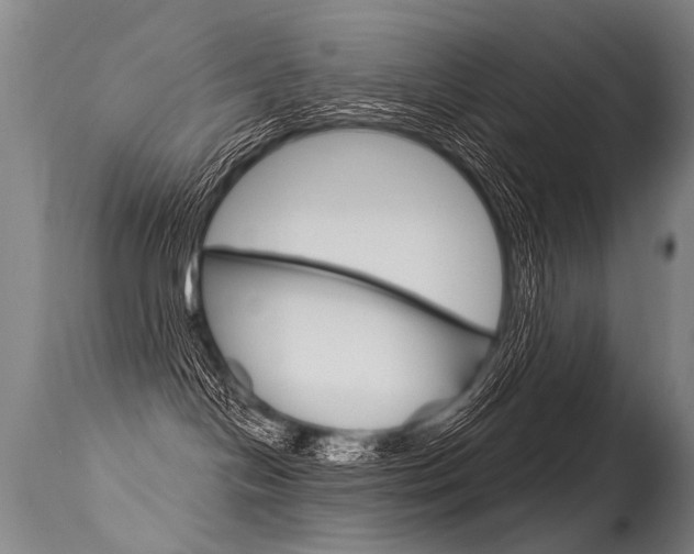 X0000115630094200911101128