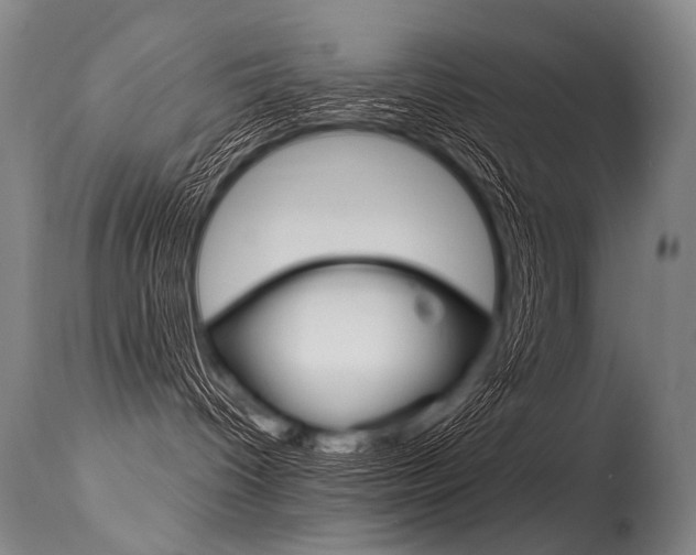 X0000115630096200911101128