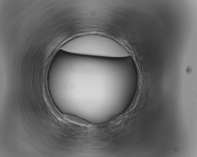 X0000115630097200911101127