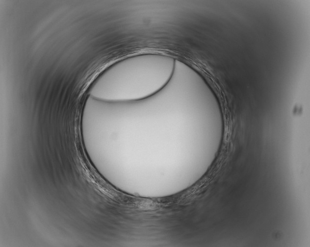 X0000115630098200911101127