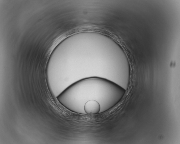 X0000115630099200911101127