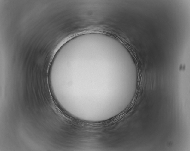 X0000115630100200911101127