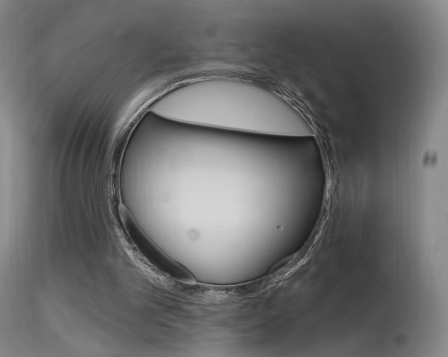 X0000115630101200911101127
