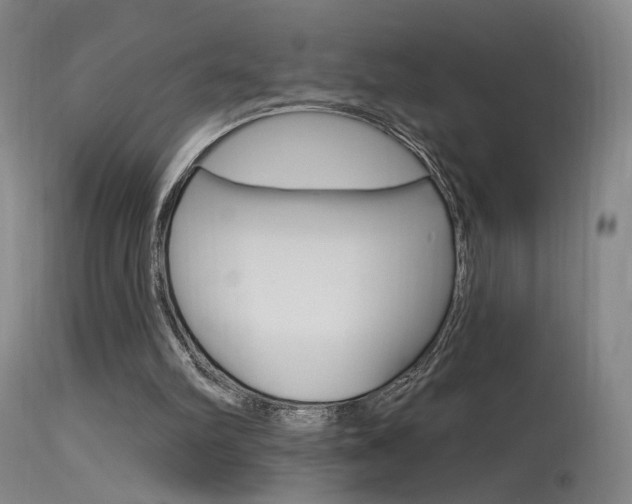 X0000115630102200911101127
