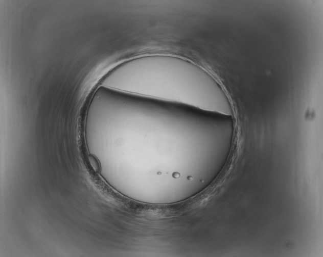 X0000115630103200911101127