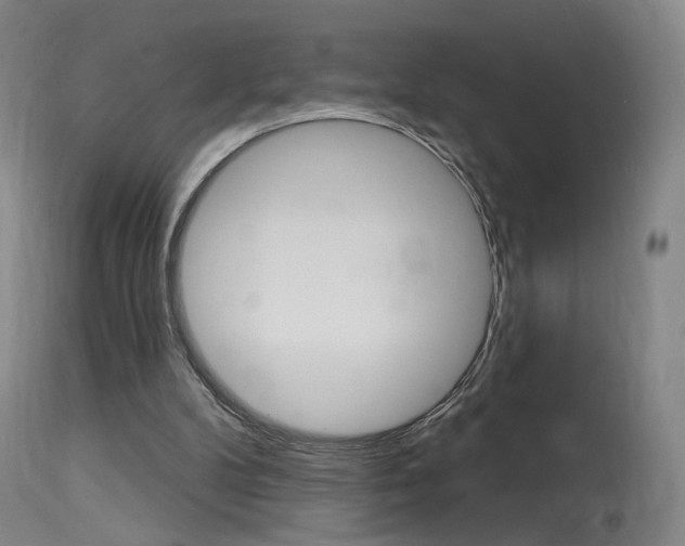 X0000115630104200911101127