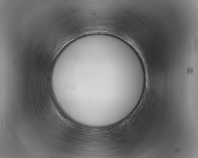 X0000115630105200911101127