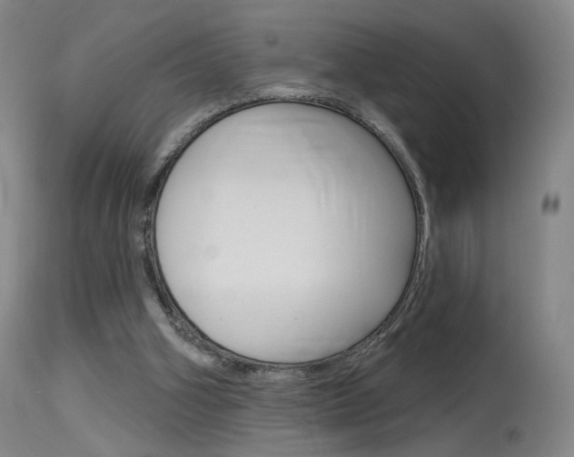 X0000115630106200911101127