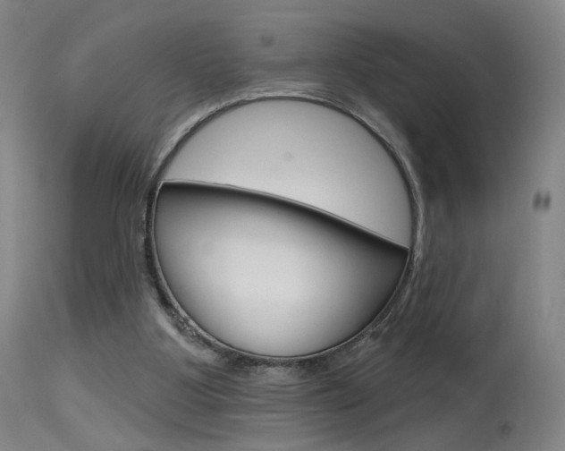 X0000115630107200911101127