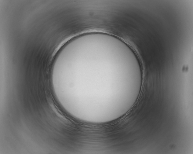 X0000115630108200911101127