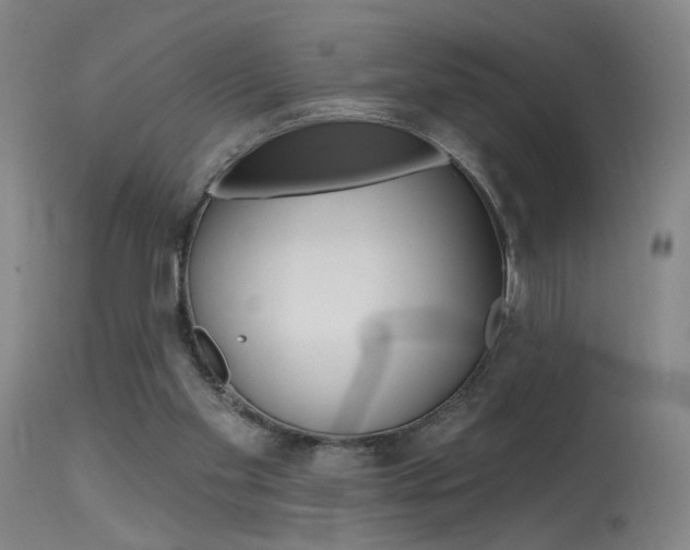 X0000115630109200911101127