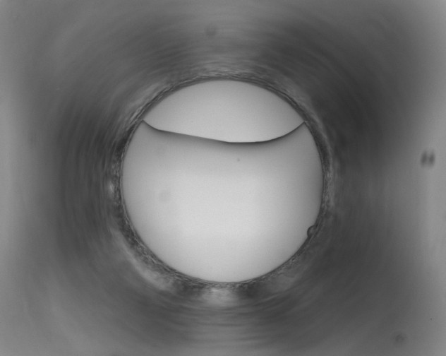 X0000115630114200911101127