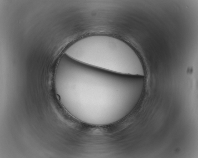X0000115630115200911101127