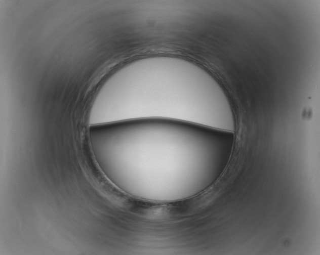 X0000115630116200911101127