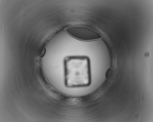 X0000115630117200911101127