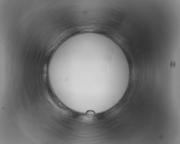 X0000115630118200911101127