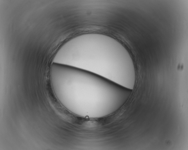 X0000115630119200911101127