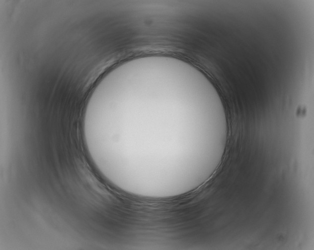 X0000115630120200911101127