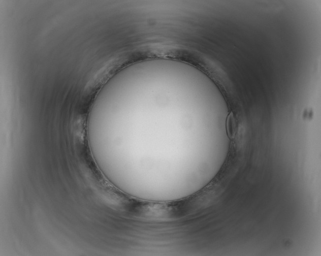 X0000115630121200911101127
