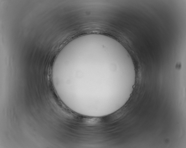 X0000115630122200911101127