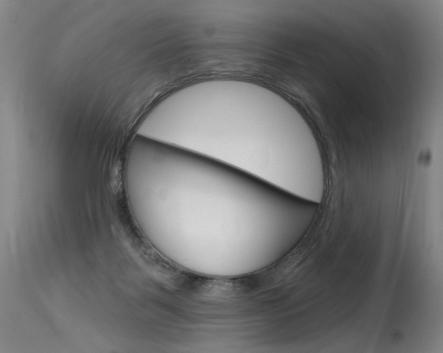 X0000115630123200911101127