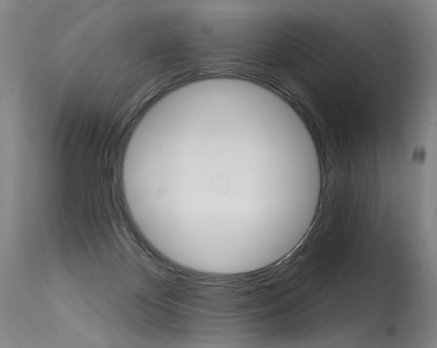 X0000115630124200911101127