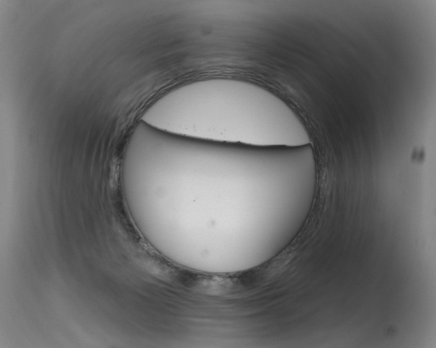 X0000115630125200911101127