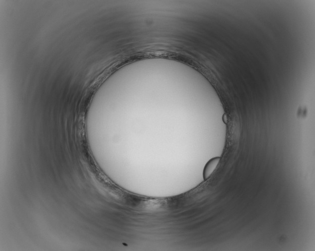 X0000115630126200911101127