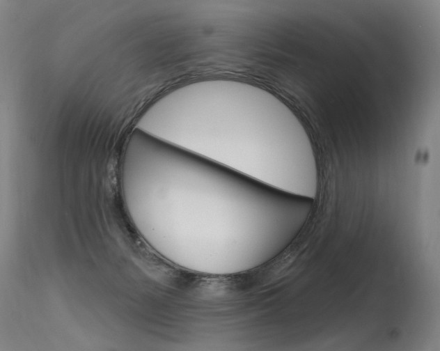 X0000115630127200911101127