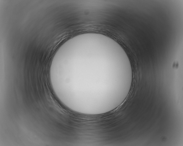 X0000115630128200911101127