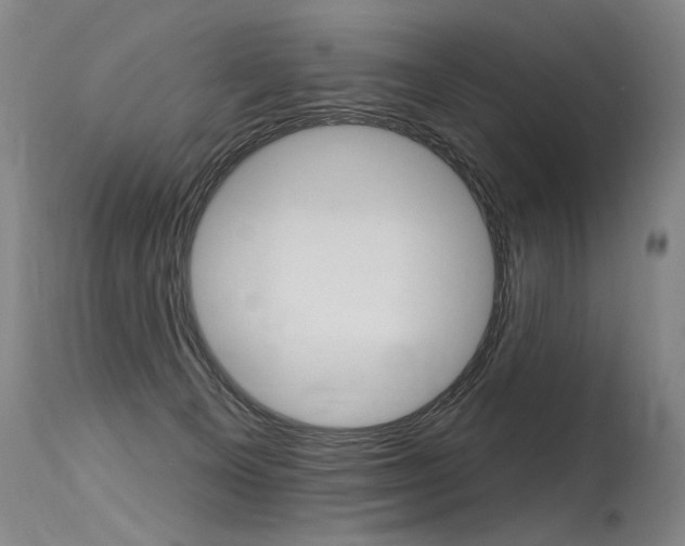 X0000115630129200911101127
