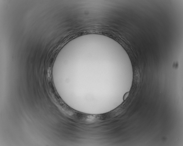 X0000115630130200911101127