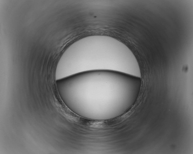 X0000115630132200911101127