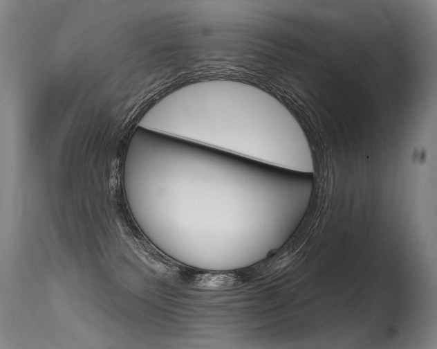 X0000115630135200911101127