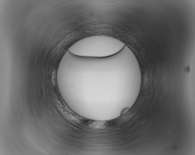 X0000115630138200911101127