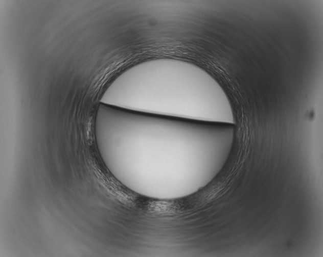 X0000115630139200911101127