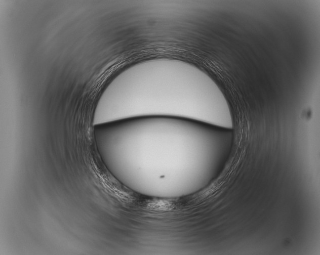 X0000115630140200911101127