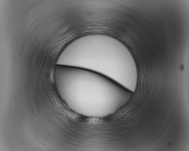 X0000115630141200911101127