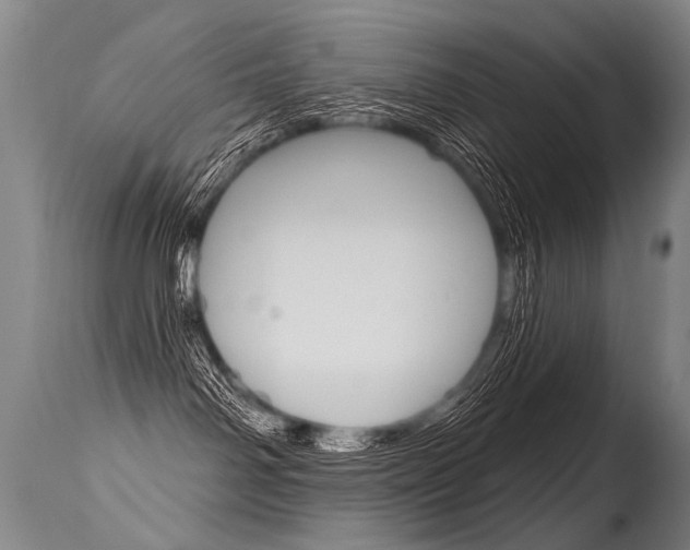 X0000115630142200911101127
