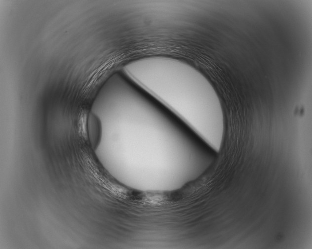 X0000115630143200911101127