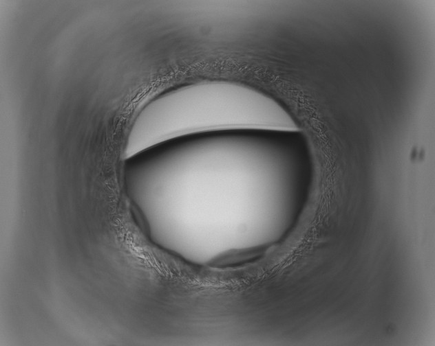 X0000115630144200911101127