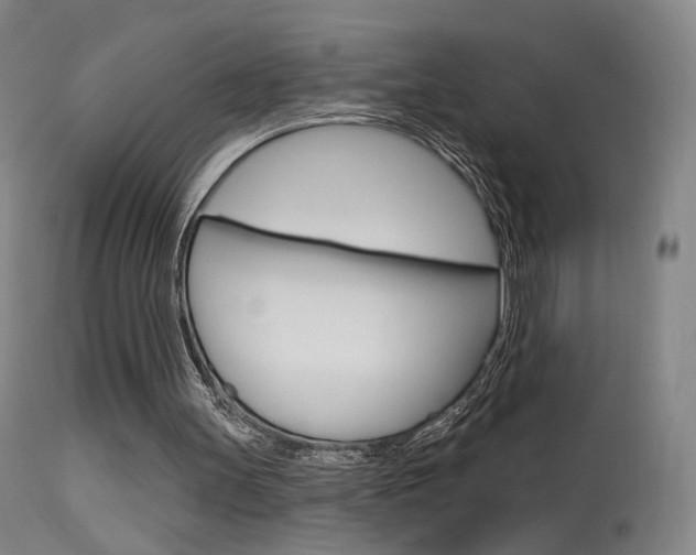 X0000115630147200911101126