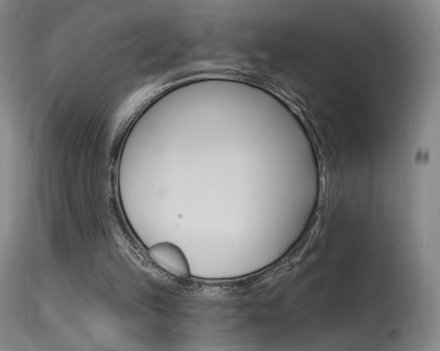 X0000115630149200911101126