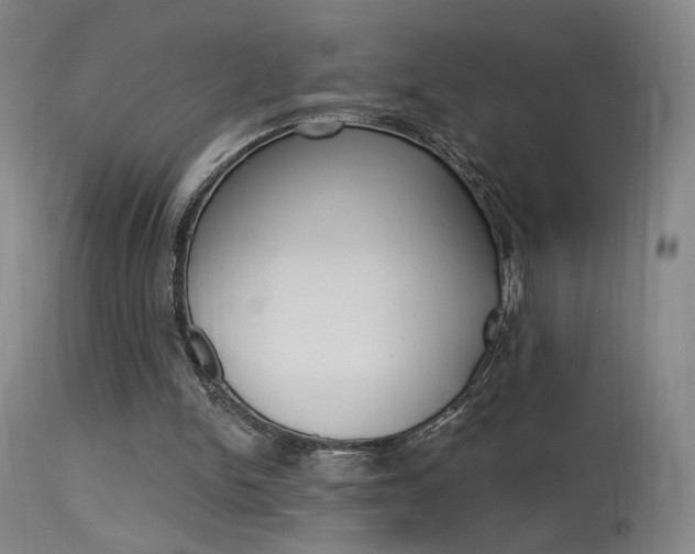 X0000115630150200911101126