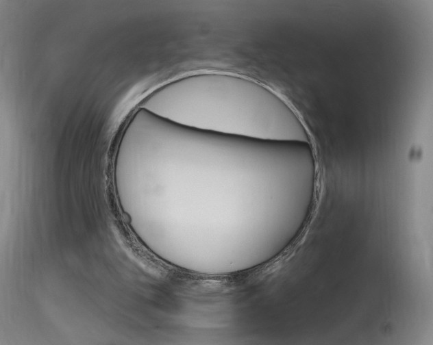 X0000115630151200911101126