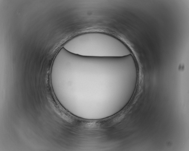 X0000115630153200911101126