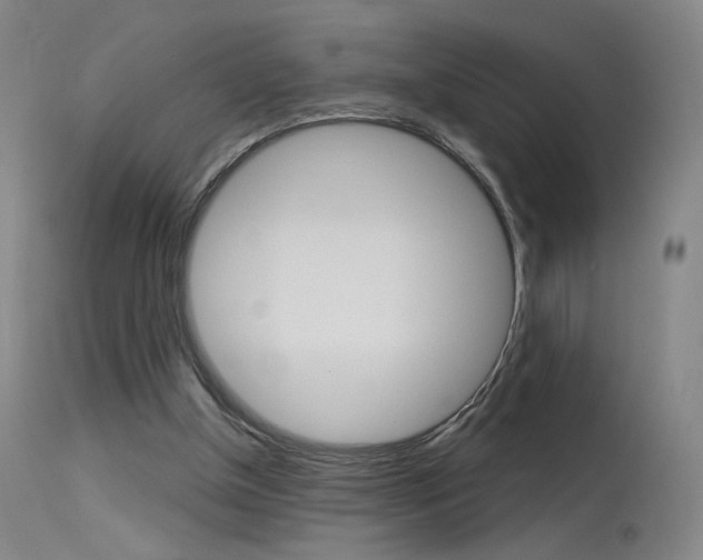X0000115630154200911101126