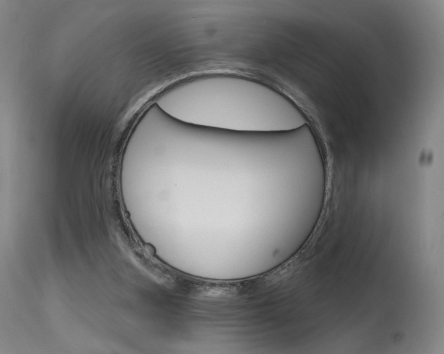 X0000115630155200911101126